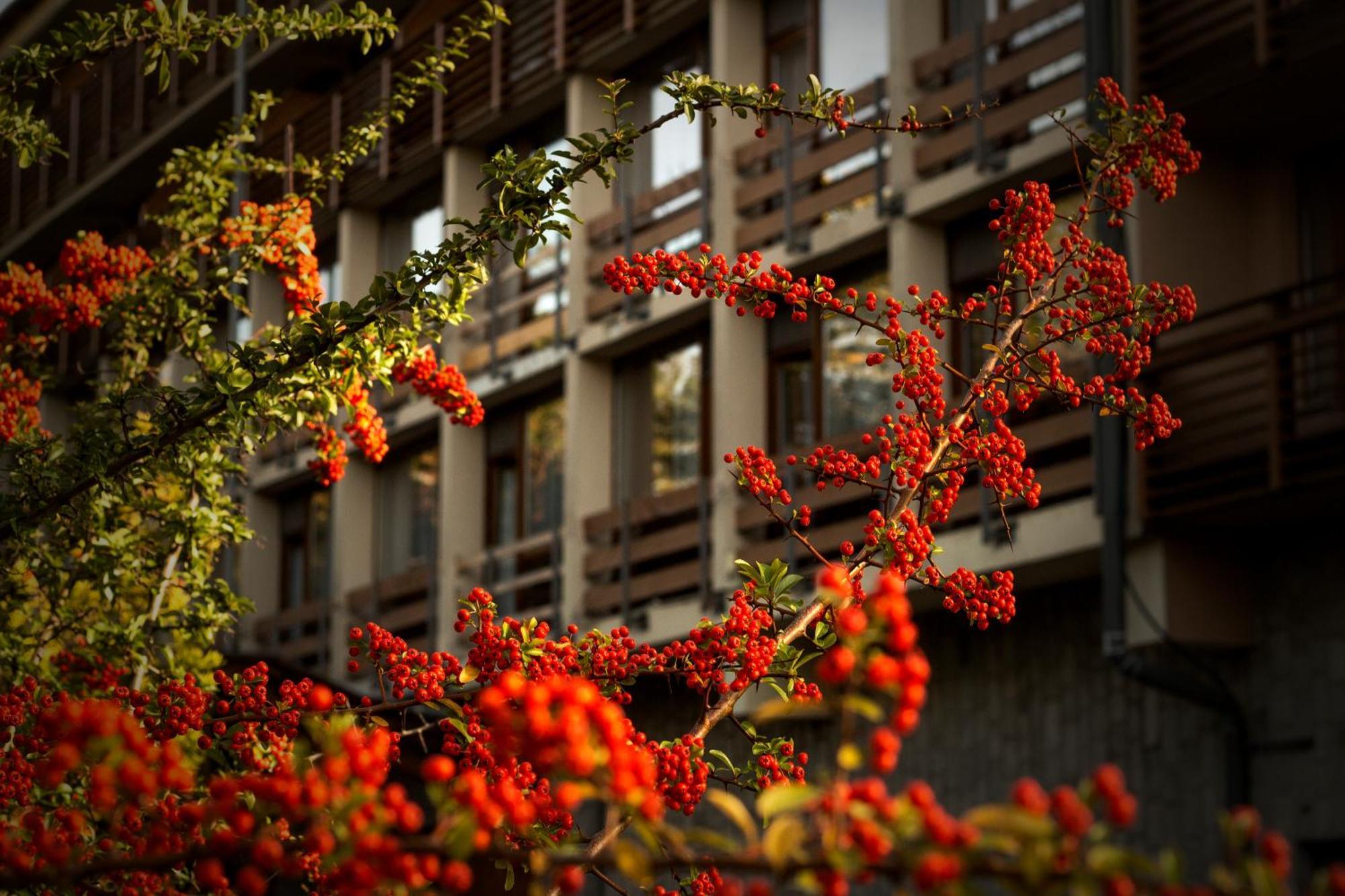 Silvanus Hotel Visegrád Exterior foto